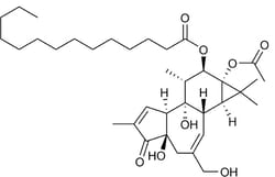 STEMCELL Technologies Phorbol 12-myristate 13-acetate, Size: 5 mg, Quantity: