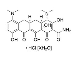 STEMCELL Technologies Minocycline (Hydrochloride Hydrate), Size: 100 mg,