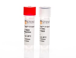 STEMCELL Technologies ArciTect T7 Endonuclease I Kit, Size: 25 Reactions,