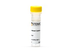 STEMCELL Technologies Human/Mouse Recombinant Activin A, Size: 10 µg, Quantity: