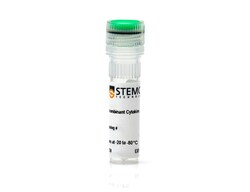 STEMCELL Technologies Human Recombinant IGF-I, Size: 100 µg, Quantity: