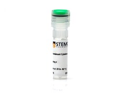 STEMCELL Technologies Human Recombinant IL-22, Size: 50 µg, Quantity: Each