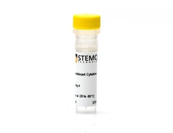 STEMCELL Technologies Human Recombinant VEGF-121, Size: 100 µg, Quantity: