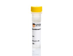 STEMCELL Technologies Human/Mouse Recombinant TGF-beta 3, Size: 10 µg,