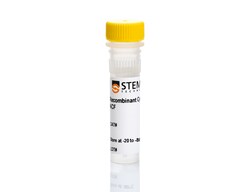 STEMCELL Technologies Human/Mouse Recombinant Activin A, ACF, Size: 10