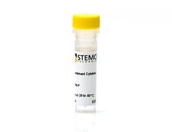 STEMCELL Technologies Human Recombinant IL-21, ACF, Size: 10 µg, Quantity: