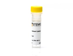 STEMCELL Technologies Human Recombinant TPO, Size: 100 µg, Quantity: Each