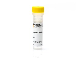 STEMCELL Technologies Human Recombinant IL-2 (E. coli-expressed), Size: