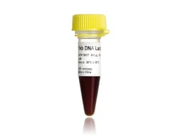 STEMCELL Technologies 1 kb DNA Ladder, Size: 600 µL