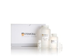 STEMCELL Technologies&nbsp;Gel and PCR Clean-up Kit, Size: 250 Preparations