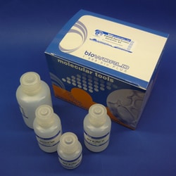 Bioworld Focus DTT, 2M, 3483-12-3, 5 vials, Quantity: Pack of 5