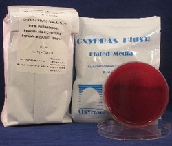 Oxyrase Oxypras Brucella Blood Agar 10Pk, Quantity: Pack of 10