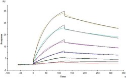 ACROBiosystems RECOMBINANT PROTEIN 200UG BIOT, Quantity: Each of 1