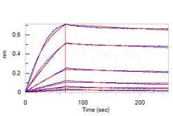 ACROBiosystems RECOMBINANT PROTEIN 100UG HUMA, Quantity: Each of 1