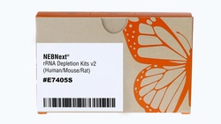 New England Biolabs, Inc. NEBNext rRNA Depletion Kit v2 (Human, Mouse,
