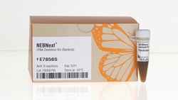 New England Biolabs, Inc. NEBNext rRNA Depletion Kit (Bacteria) with RNA