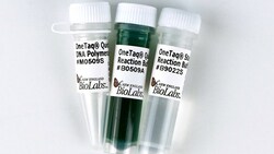 New England Biolabs, Inc. OneTaq Quick-Load DNA Polymerase – 500 units,
