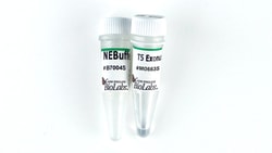 New England Biolabs, Inc. T5 Exonuclease – 5000 units, Quantity: Each of
