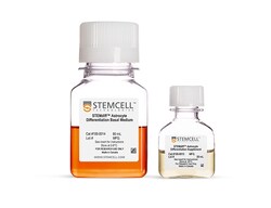 STEMCELL Technologies STEMdiff Astrocyte Differentiation Kit, Size: 1 Kit,