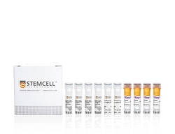 STEMCELL Technologies EasySep Human Plasmacytoid DC Isolation Kit, For