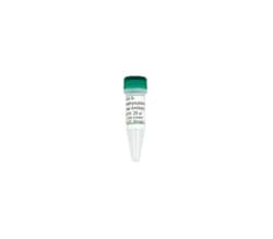 Zymo Research Corporation Anti-5-Hydroxymethylcytosine Polyclonal Antibody