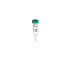 Zymo Research Corporation Anti-5-Hydroxymethylcytosine Polyclonal Antibody