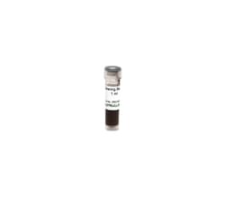 Zymo Research Corporation&nbsp;Clearing Beads, 1 ml
