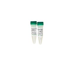 Zymo Research Corporation Human Matched DNA Set