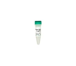 Zymo Research Corporation Human Brain DNA, 5 µg/20µL