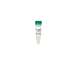Zymo Research Corporation Human Spleen DNA (5 ug)