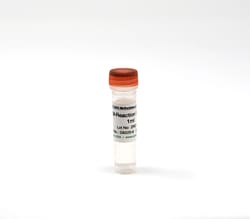 Zymo Research Corporation&nbsp;M-Reaction Buffer, 1ml