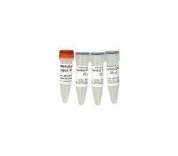 Zymo Research Corporation Methylated/Non-methylated Control DNA & Primer