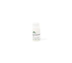 Zymo Research Corporation&nbsp;5X Chromatin Elution Buffer, 10 ml