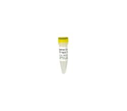 Zymo Research Corporation&nbsp;Negative Control 50 ul (100 ng/ul)