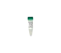 Zymo Research Corporation&nbsp;5-Hydroxymethylcytosine DNA Standard (2 µg)  '**'