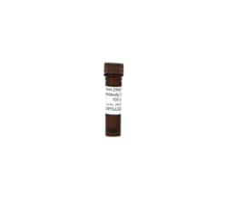 Zymo Research Corporation&nbsp;Anti-DNA HRP Antibody (100X) (100 ul)