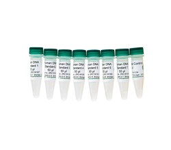 Zymo Research Corporation Human DNA Standards and No Template Control (#1-8),