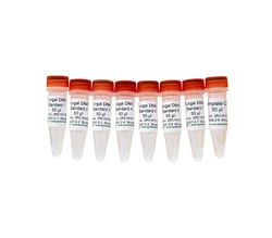 Zymo Research Corporation&nbsp;Fungal DNA Standards and No Template Control, Fungal DNA