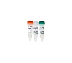 Zymo Research Corporation CpG Methylase (M.SssI), 200 Units, Quantity: