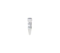 Zymo Research Corporation&nbsp;10X CpG Reaction Buffer, 1 ml