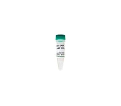 Zymo Research Corporation 20X SAM (S-adenosylmethionine) (200 μl), Quantity: