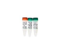 Zymo Research Corporation 5-hmC Glucosyltransferase, 200 U, Quantity: Each