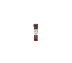 Zymo Research Corporation&nbsp;RNA Conversion Reagent, 1.5 ml