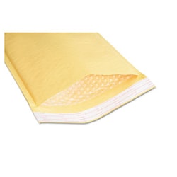 Enterprise Technology Solutions&nbsp;Sealed Air Jiffylite Cushioned Mailer, #2, Bubble Lining, Self-Adhesive Closure, 8.5 X 12, Golden Kraft, 100/Bx
