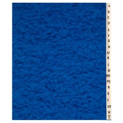 Enterprise Technology Solutions&nbsp;File Sorter, 20 Dividers, Alpha, Letter-Size, Blue Cover