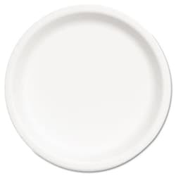 Enterprise Technology Solutions&nbsp;Paper Plates, 6