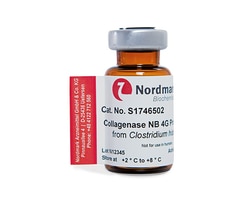 Amsbio LLC Collagenase NB 4G Proved Grade (500 mg), Quantity: Each of 1