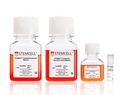STEMCELL Technologies&nbsp;STEMdiff&trade; Endothelial Differentiation Kit, Size: 1 Kit
