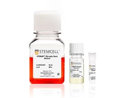 STEMCELL Technologies STEMdiff Microglia Differentiation Kit, Size: 1 Kit,