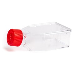STEMCELL Technologies&nbsp;CellAdhere&trade; Collagen I-Coated Flask, 25 cm², Size: 5 Units